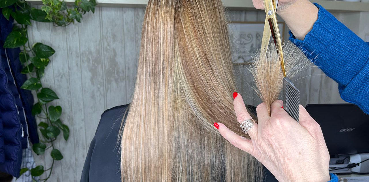 blanco-peluqueros-corte-pelo